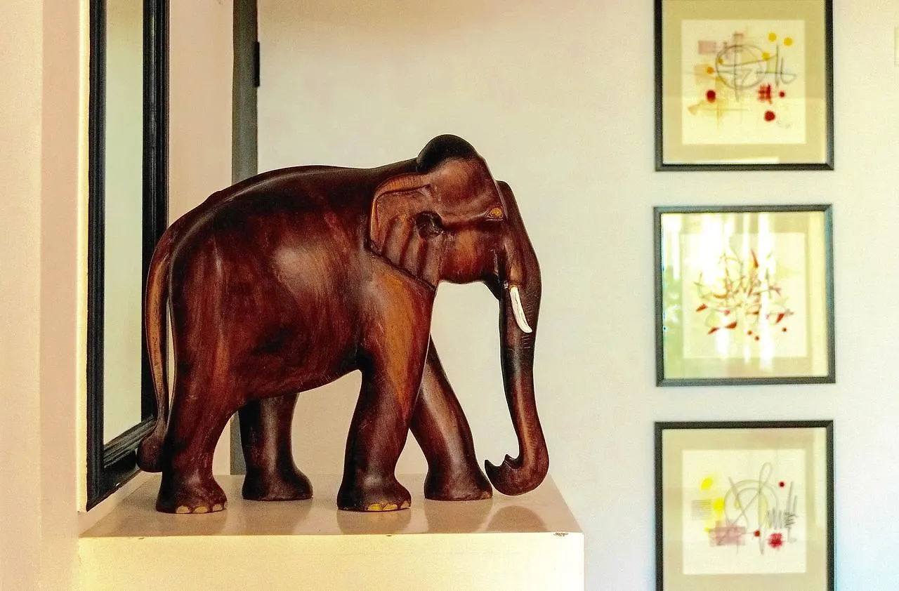 Petit Elephant Cherai Beach